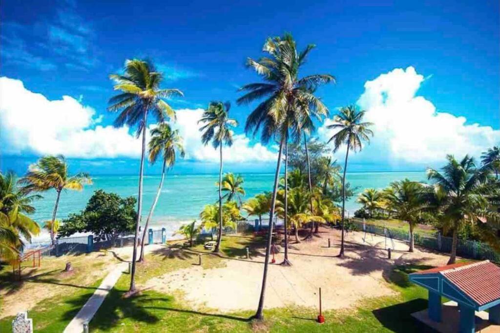 3Bedrm Beach Penthouse With Rooftop Terrace & Wifi ริโอกรันเด ภายนอก รูปภาพ